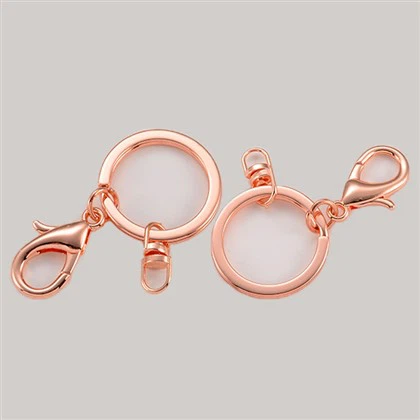 OEM Metal Key Chain Charm med nyckelring